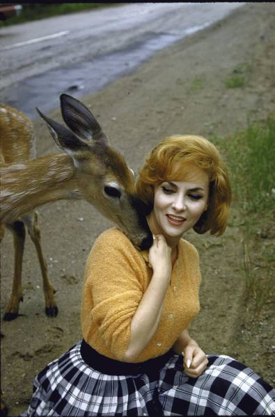 Illustration for article titled The Way We Were: Life Magazine Photos Of Women In The 1960s